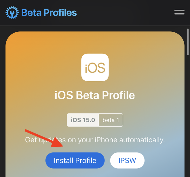 Hướng dẫn nâng cấp lên iOS 15 Beta - Ảnh 3.